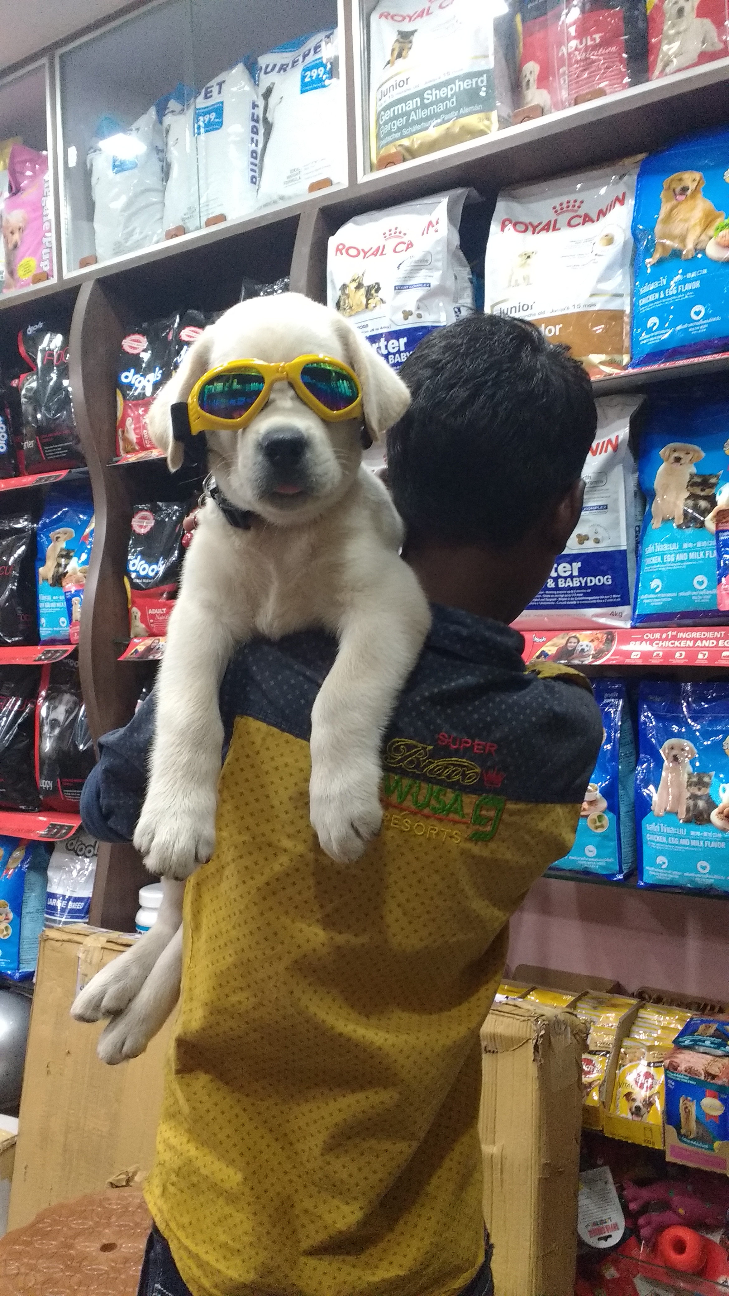 raj pet shop