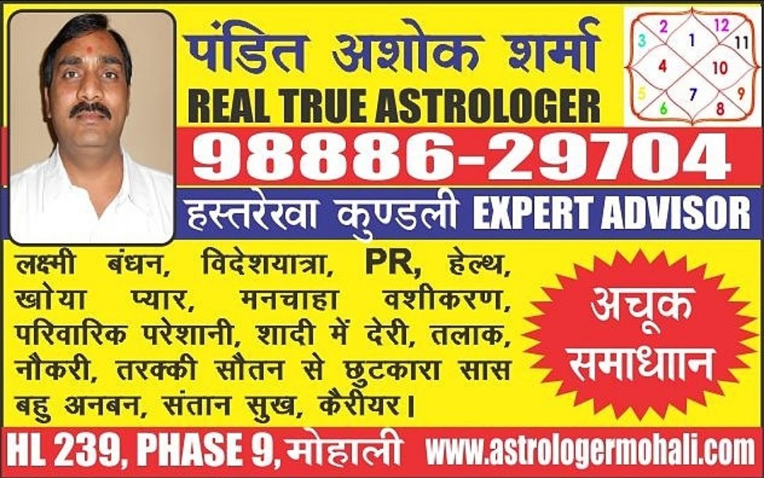Best astrologer in mohali pin Best astrologer in mohali pin