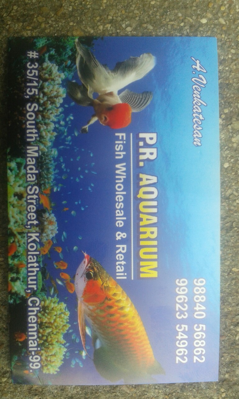 aquarium shop in velachery