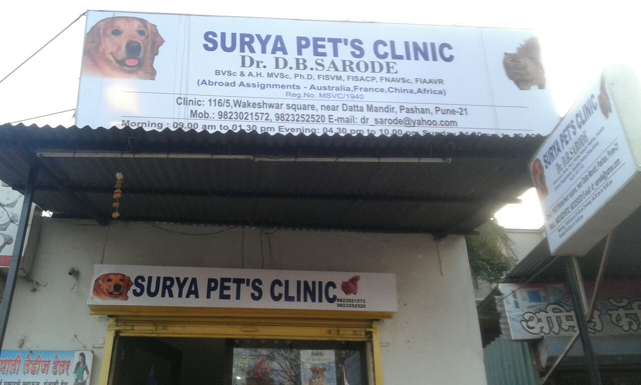 Veterinary Practioner in Pashan, Pune Sulekha Pune