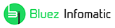 Bluez Infomatic Solutions