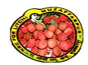 Logo of National Research Centre for Litchi - [NRCL]