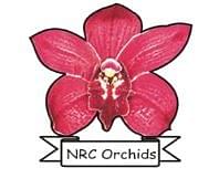 Logo of National Research Centre for Orchids - [ICAR]