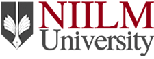 Logo of NIILM University