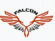 Logo of Falcon Institute of Aircraft Maintenance Engineers (FIAME)