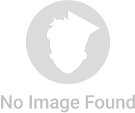 Logo of Sita Devi Memorial Institute of Education and Technology