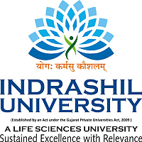 Logo of Indrashil University Rajpur