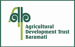 Logo of Shardabai Pawar Institute of Pharmaceutical Sciences and Research - [SPIPSR]