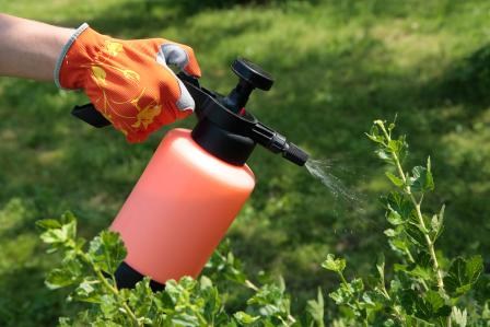 Pest Patrol Matters - Wave the Eco-friendly way!