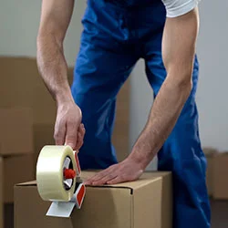 Allied Professional Movers And Packers	 Bapu Gandhi Nagar, Indore