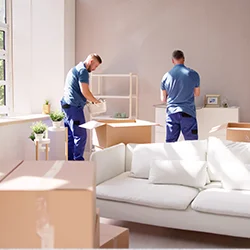 Redbox Packers And Movers Bommanahalli, Bangalore