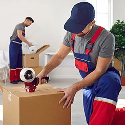 City Estate Cargo Packers & Movers Dilshad Garden, Delhi