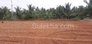 25 Cent Agricultural Land/Farm Land for Resale in Pachapalayam