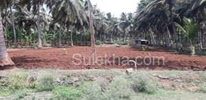 1 Acres Agricultural Land/Farm Land for Resale in Kinathukadavu