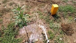 1250 sqft Plots & Land for Sale in Avinashi Road