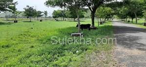 2280 sqft Plots & Land for Sale in Mahindra World City