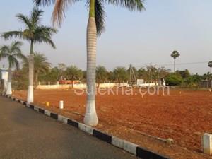 1330 sqft Plots & Land for Sale in Sarkar Samakulam
