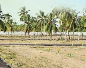 1975 sqft Plots & Land for Sale in Thaiyur