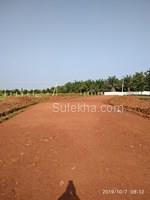 180 Sq Yards Plots & Land for Sale in Tagarapuvalasa