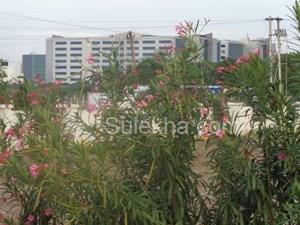 1160 sqft Plots & Land for Sale in Saravanampatti