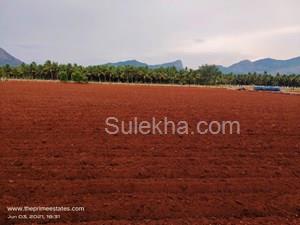 25 Cent Agricultural Land/Farm Land for Resale in Mylampatti
