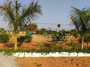 113 Sq Yards Plots & Land for Sale in Bibinagar