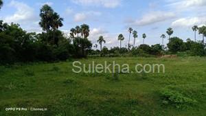 4596 Sq Yards Agricultural Land/Farm Land for Resale in Keesara