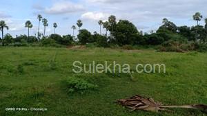 4569 Sq Yards Agricultural Land/Farm Land for Sale in Nagaram