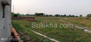 1150 sqft Plots & Land for Sale in Sector 164