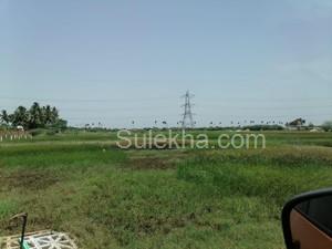 1000 sqft Plots & Land for Sale in Kancheepuram