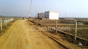 1176 sqft Plots & Land for Sale in Sector 156