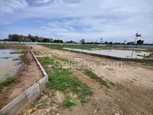 620 sqft Plots & Land for Sale in Manavala Nagar