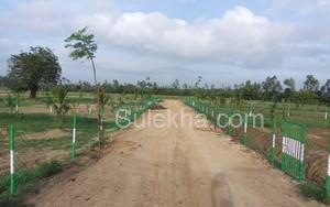 10000 sqft Agricultural Land/Farm Land for Sale in Vedanthangal