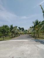 2945 sqft Plots & Land for Sale in Natham