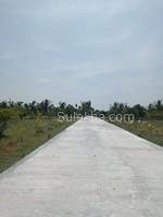 2850 sqft Plots & Land for Sale in Natham