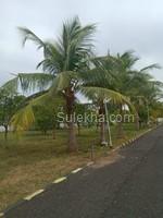 1935 sqft Plots & Land for Sale in Natham