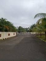 5384 sqft Plots & Land for Sale in Thiruporur
