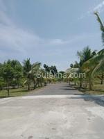 1394 sqft Plots & Land for Sale in Natham