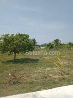 1500 sqft Plots & Land for Sale in Natham