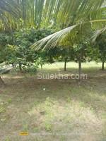 2950 sqft Plots & Land for Sale in Natham