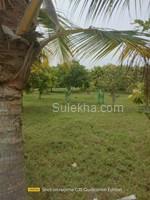 2900 sqft Plots & Land for Sale in Natham