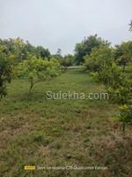 2900 sqft Plots & Land for Sale in Natham