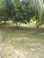 1550 sqft Plots & Land for Sale in Natham