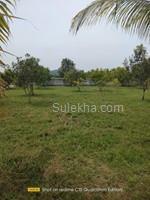 1600 sqft Plots & Land for Sale in Natham