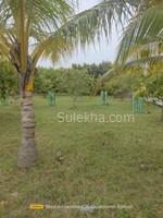 1900 sqft Plots & Land for Sale in Natham