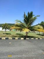 2100 sqft Plots & Land for Sale in Natham
