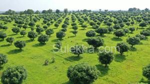 605 Sq Yards Agricultural Land/Farm Land for Sale in Balanagar