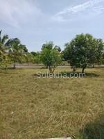 2460 sqft Plots & Land for Sale in Thiruporur