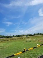 1376 sqft Plots & Land for Sale in Mangalam