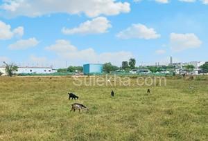 1.06 Acres Agricultural Land/Farm Land for Resale in Sunguvarchatram